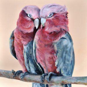 Galah Lovers