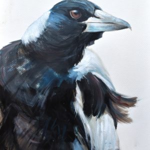 Magzy – Magpie Study 1