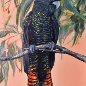 Black Cockatoo –  Flora and Fauna Series
