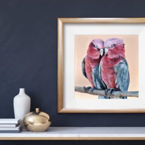 Galah Lovers