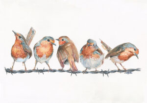 Robins on a Wire Limited Ed.