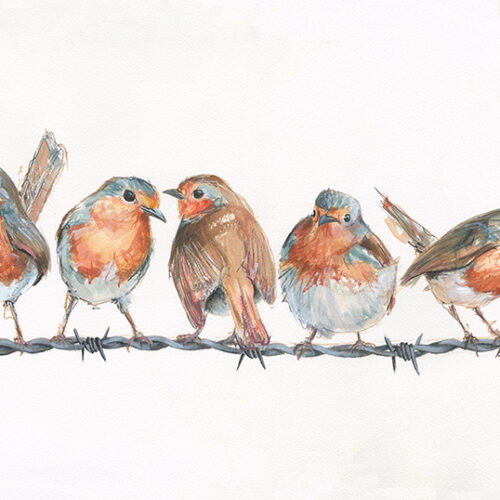 Robins on a Wire Limited Ed.