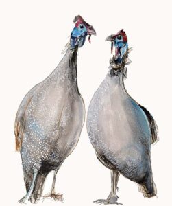 Two Guinea Fowl Limited Ed.