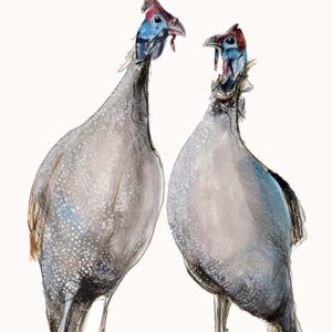 Two Guinea Fowl