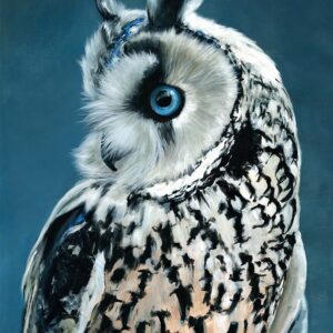 Blue Owl