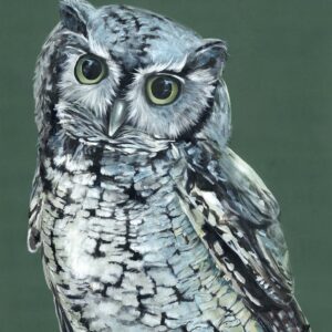 Green Owl