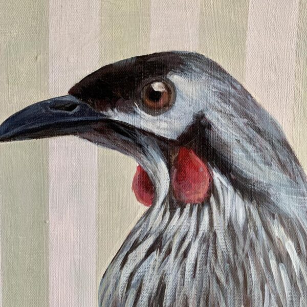 Wattlebird - Image 3