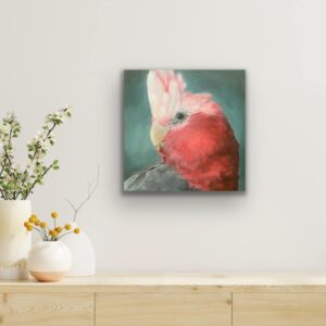 Galah
