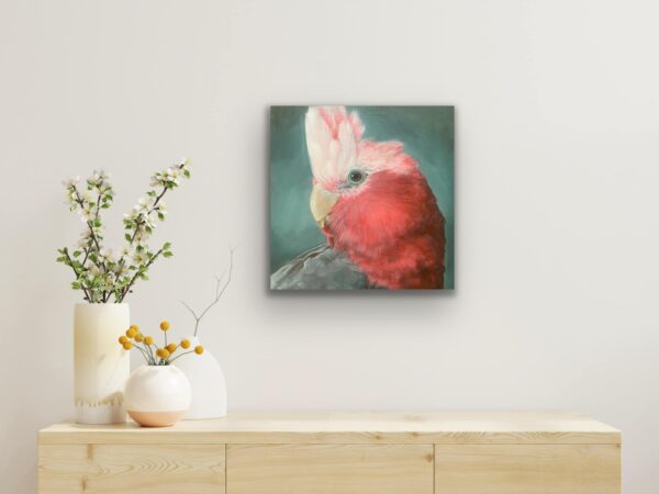 Galah - Image 2