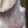 Barn Owl - Image 2