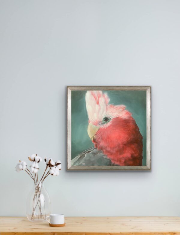Galah - Image 5