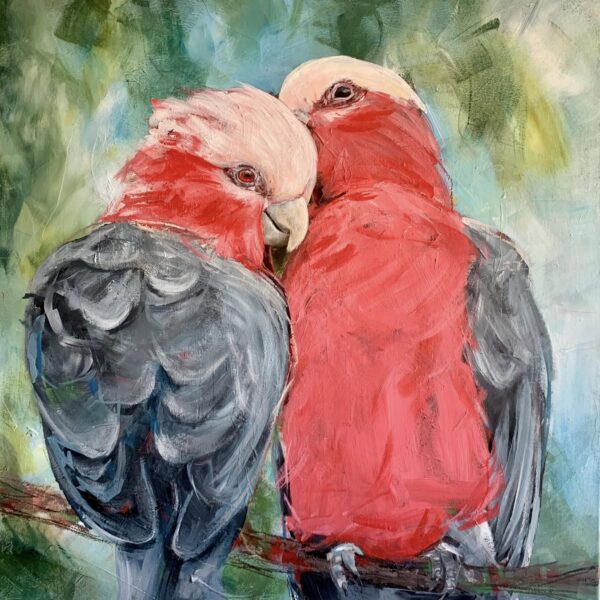 Galah Lovers
