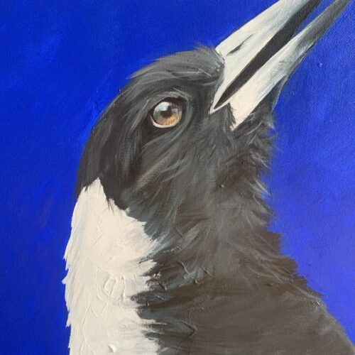 Magpie Call