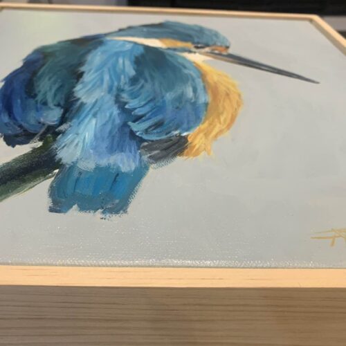 Kingfisher