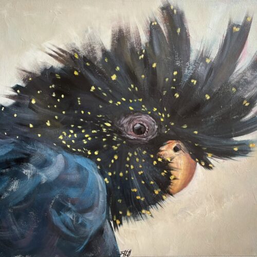 Cockatoo