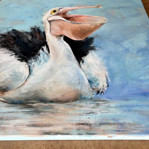 Pelican Smile
