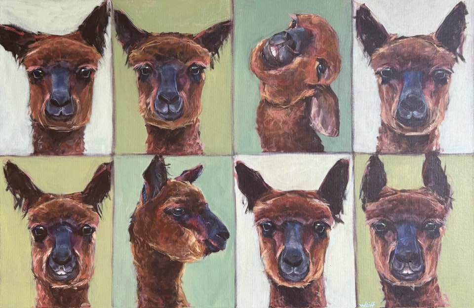 Cheeky Alpaca