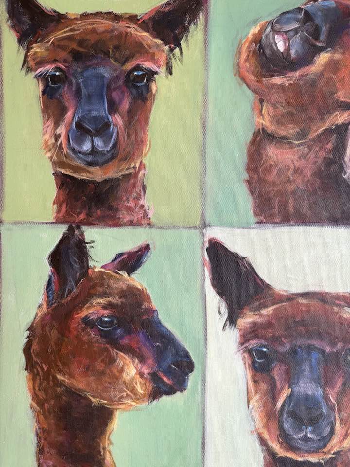 Cheeky Alpaca - Image 2